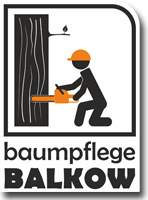 baumpflege BALKOW in Drieschnitz